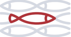 transparent logo